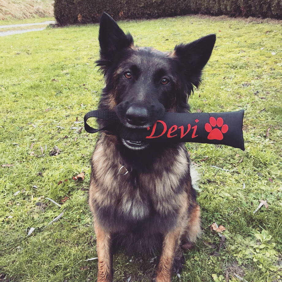 Devi